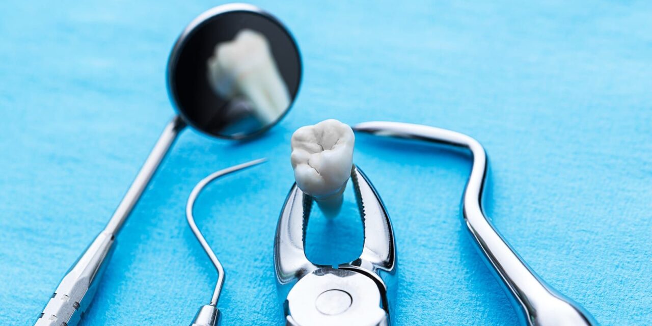 Complete Guide to Choosing the Right Portable ECG Device in Bangladesh